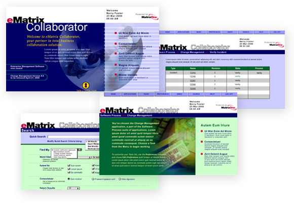 MatrixOne - extranet / software user interface design